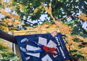zdjęcie książki w jesiennej scenerii