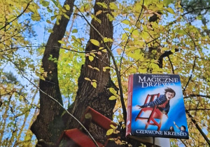 zdjęcie książki w jesiennej scenerii