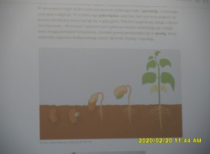 Klasa 3a szykuje się do wiosny