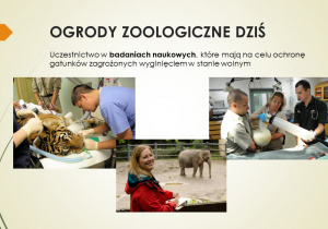 Ogrody zoologiczne dziś- slajd ze zdjęciami zwierząt i ludzi