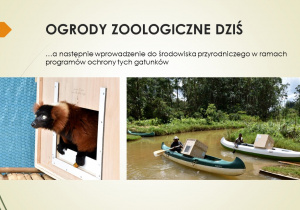 Ogrody zoologiczne dziś- slajd ze zdjęciami zwierząt i ludzi