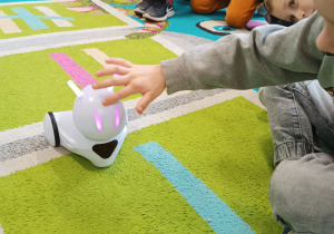 Uczeń dotyka głowy robota, aby wprawić go w ruch.