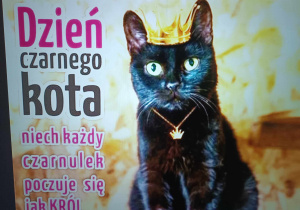Plakat przedstawiający zdjęcie czarnego kota.