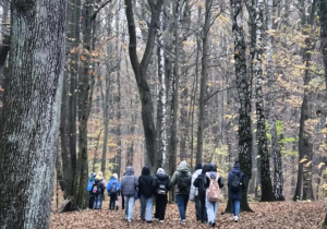 Uczniowie idący do lasu