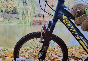 zdjęcie książki w jesiennej scenerii