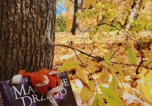 zdjęcie książki w jesiennej scenerii