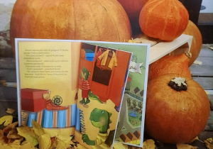 zdjęcie książki w jesiennej scenerii